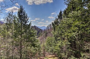 A dense forest with tall trees and a mountain range in the background. - Quiet Cabin w/ Mountain Views ~ 3 Mi to Gatlinburg (Gatlinburg)