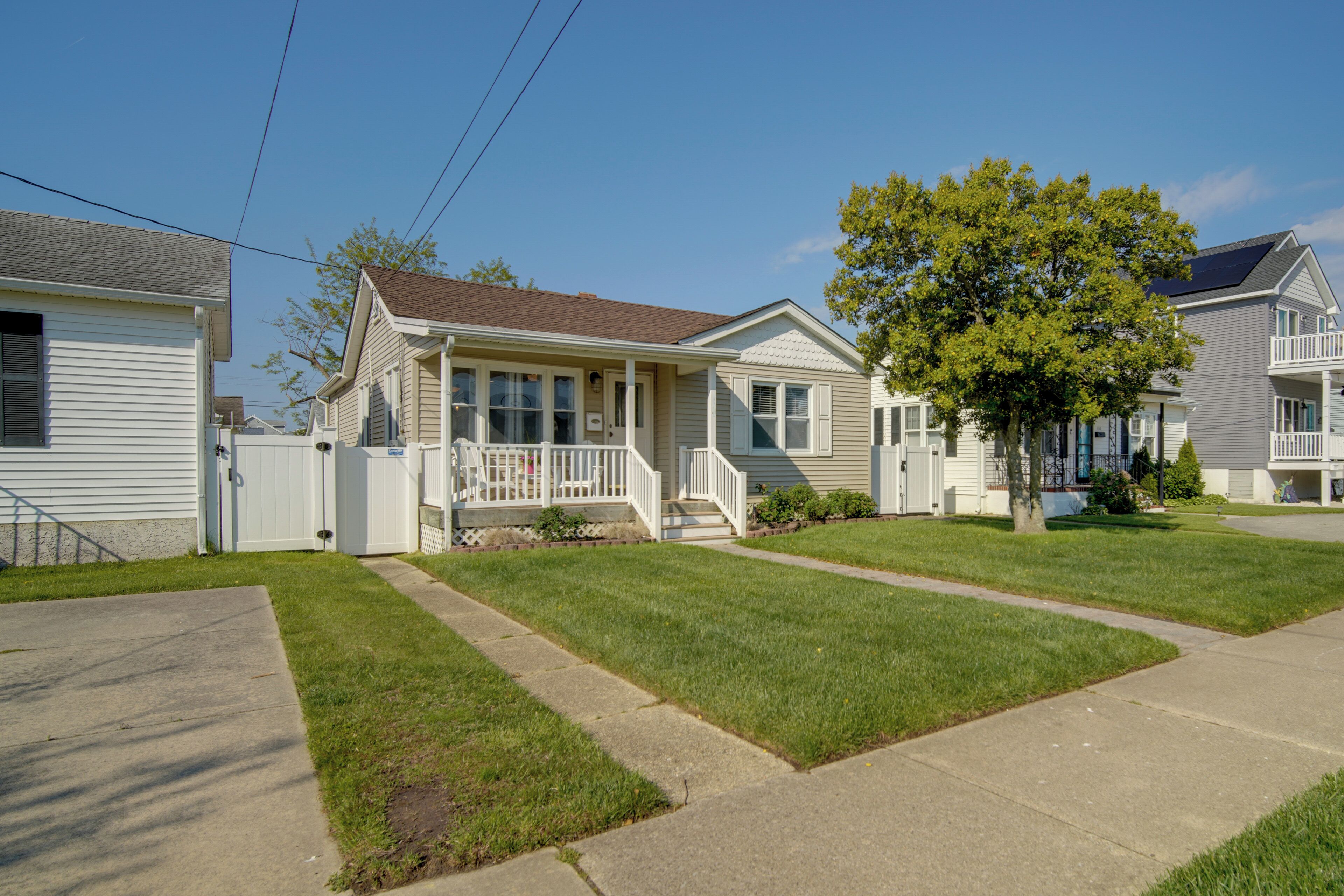 A row of single-story houses with front porches, a tree in the center, and a clear sky.