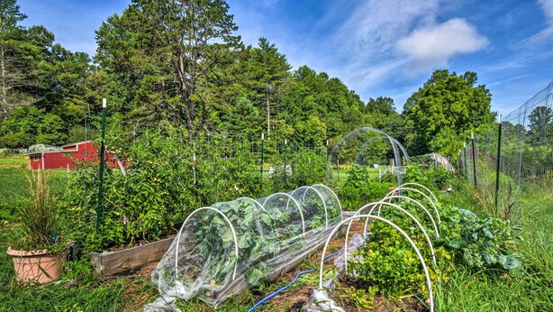 Un jardin doté de plates-bandes surélevées et d’une serre.