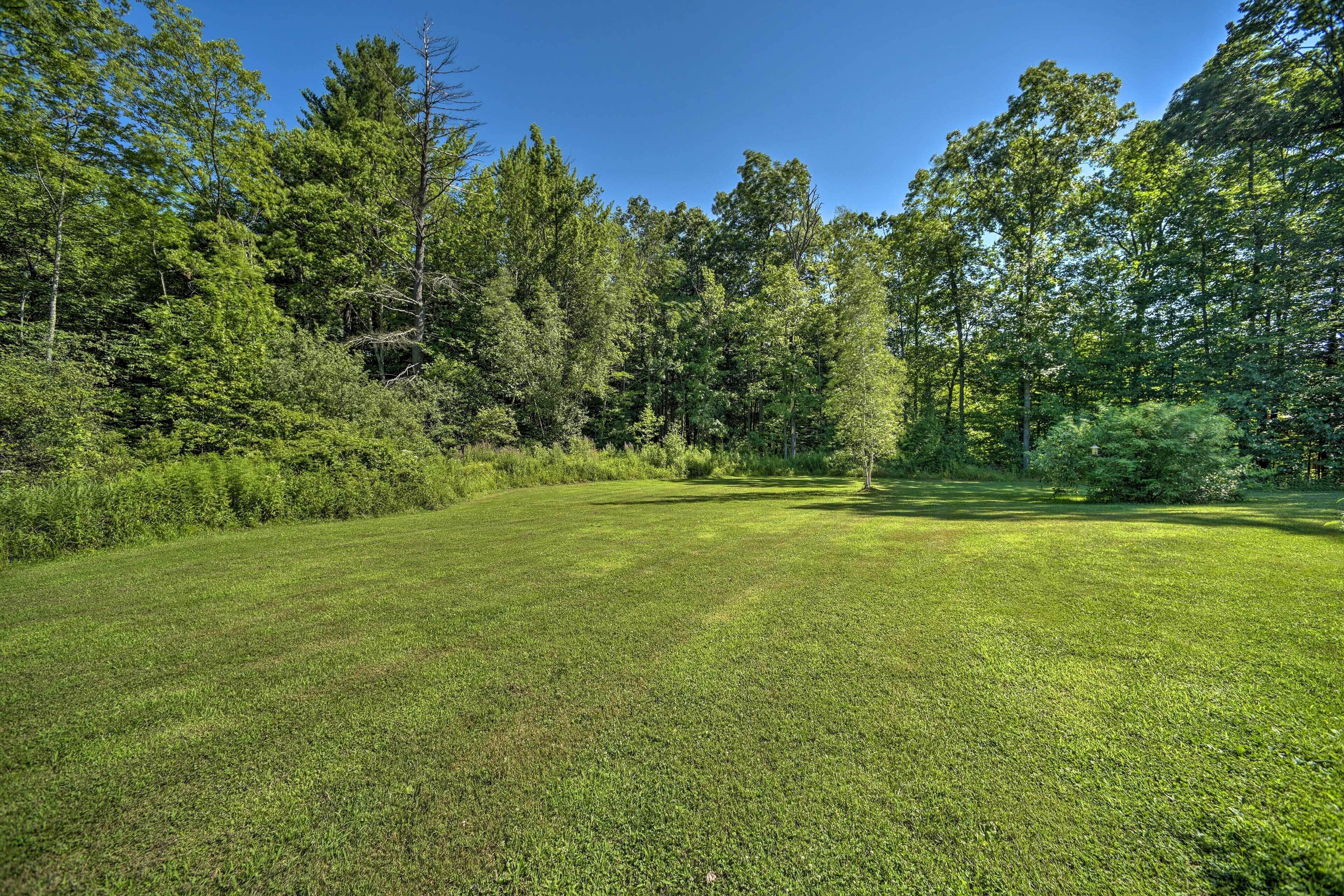 A grassy field with trees in the background.