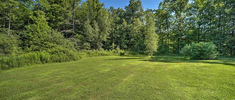 A grassy field with trees in the background.