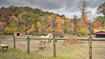 Apartment (4 Bedrooms) | Front of property