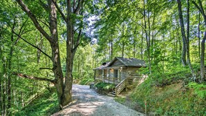 A cabin in a forest with a gravel path leading to it.