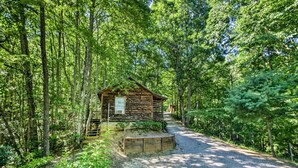 A rustic cabin surrounded by dense forest.