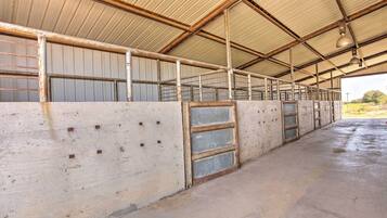 Cottage (1 Bedroom) | Interior