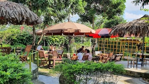 Un espacio al aire libre con mesas y sillas de madera, rodeado de abundante vegetación y sombrillas de paja.
