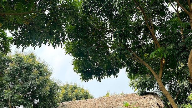 Una casa de madera rústica con tejado de paja, rodeada de abundante vegetación y un pequeño jardín.