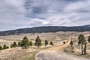 Paisatge rural amb un camí de terra, arbres escassos i muntanyes allunyades sota un cel nuvolós.