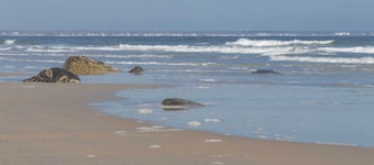 威爾斯度假屋 ~ 1 英里可至海灘