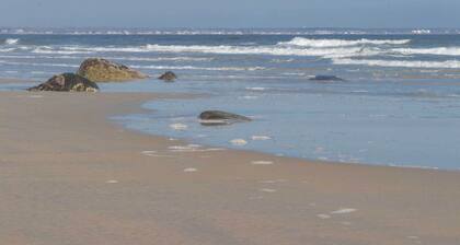 Wells Vacation Rental ~ 1 Mi to Beach Access!