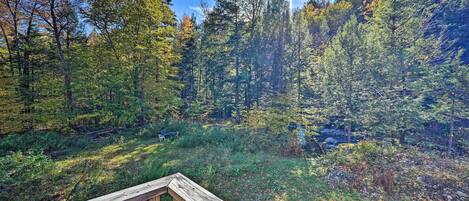 House (1 Bedroom) | Interior