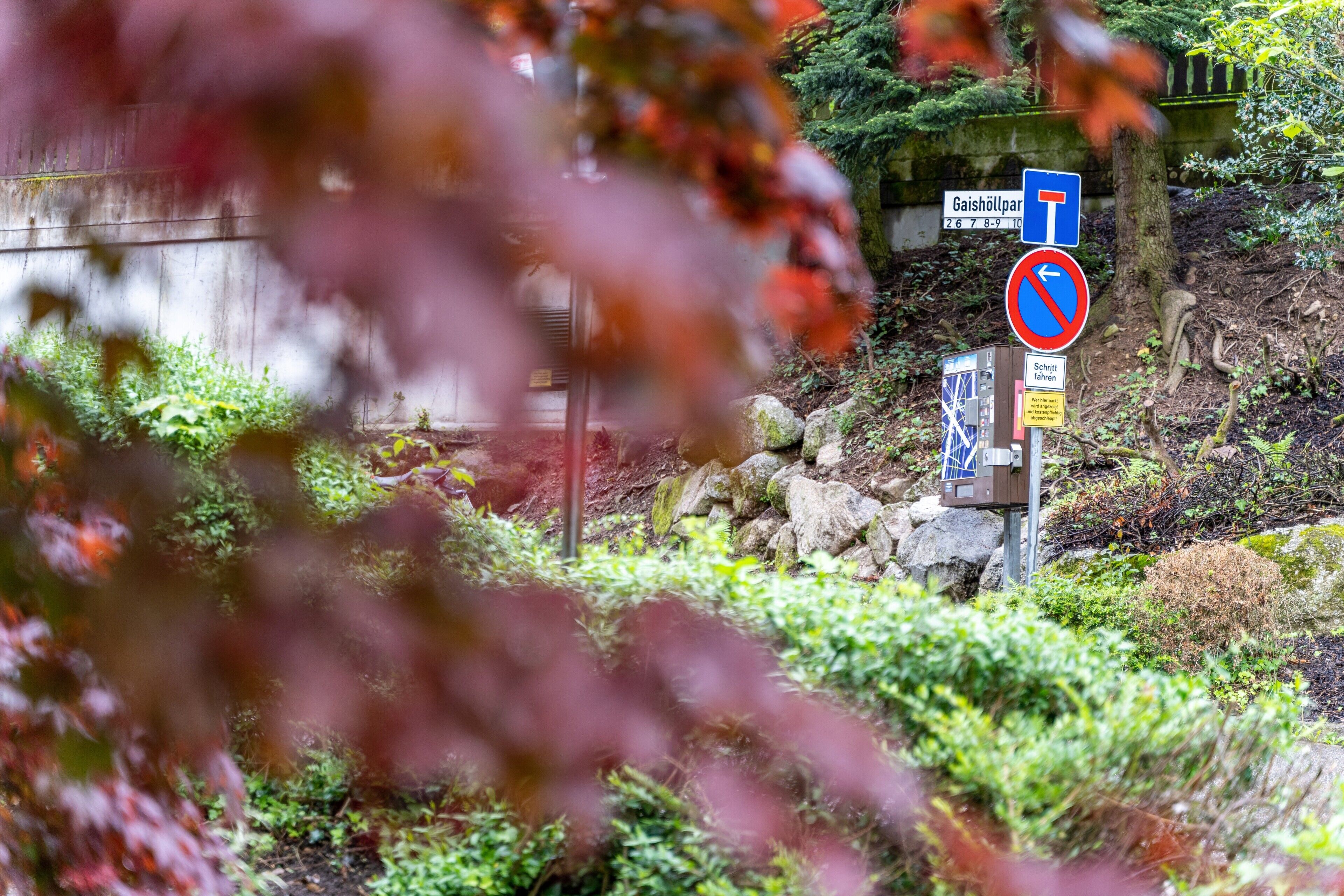 A signpost with directional and parking information, surrounded by greenery and a stone wall.