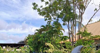Island colors