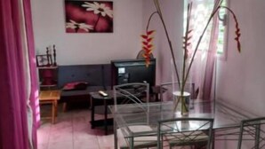 A dining area with a glass table and chairs, a sofa, a TV, and a painting on the wall. - Island colors (REMIRE MONTJOLY)