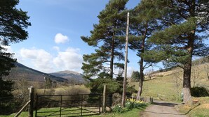 A rural road with a metal gate, surrounded by trees and a hilly landscape.
