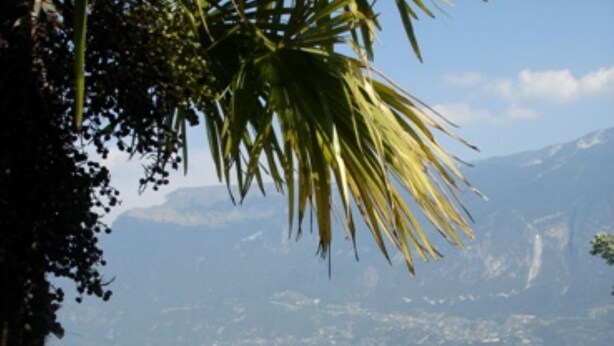 A pool surrounded by greenery and a mountainous backdrop. - Vacation home with private grounds and pool with panoramic views in Tremosine (Tremosine)