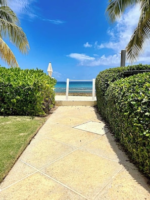 Un sendero pavimentado que conduce a una playa con valla blanca y palmeras.