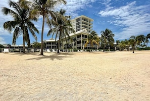Un hotel frente a la playa con varios pisos, palmeras y sillas de playa.