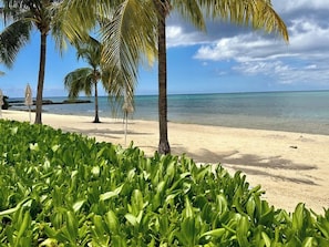 Una playa con palmeras y cielo despejado.