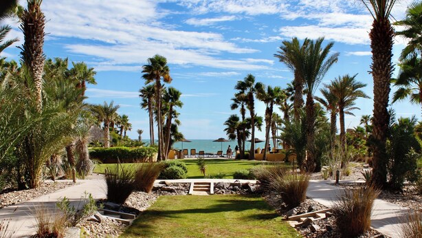 A pathway leading to a pool area with palm trees and lounge chairs.