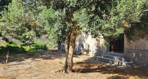 Un patio arbolado con un banco de concreto, un muro de piedra y un edificio con una puerta.