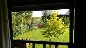 A view from a window overlooking a garden with a lawn, trees, and a wooden fence.