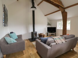 A cozy living room with two grey sofas, a black wood-burning stove, a television on a wooden stand, and a window with natural light.