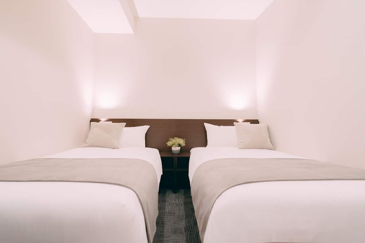 Habitación de hotel con dos camas, un cabecero de madera, una mesita de noche con una planta y suelo alfombrado.