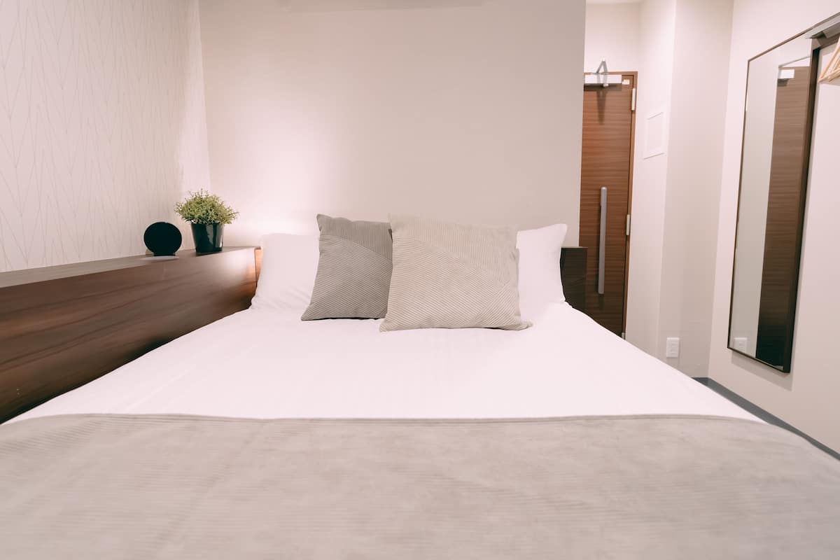 Una cama bien hecha con dos almohadas, una pequeña planta en maceta y un objeto redondo en la mesita de noche.