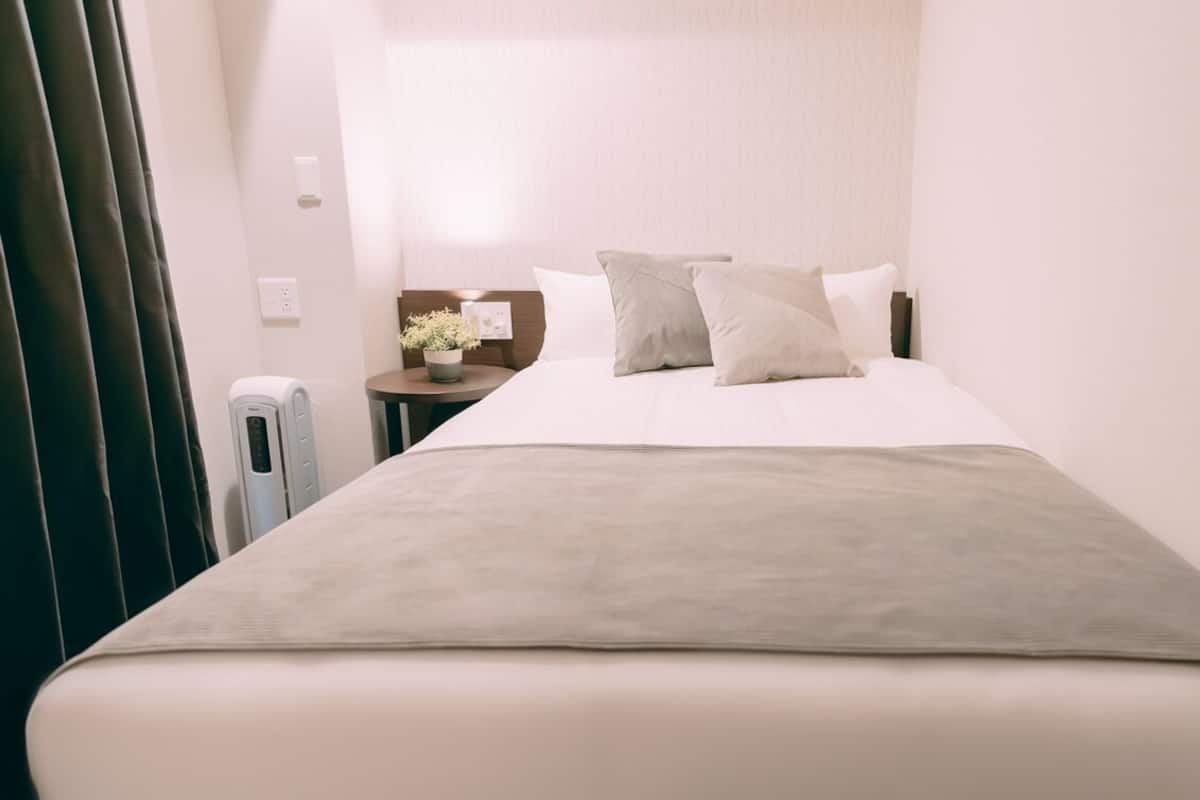Una habitación de hotel con cama, mesita de noche, lámpara y una planta pequeña en maceta.