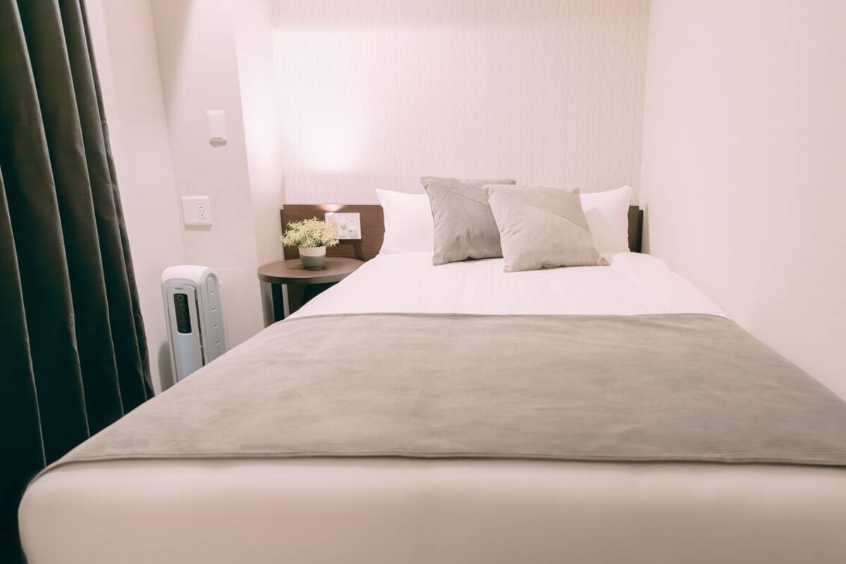 A hotel room with a bed, bedside table, lamp, and a small potted plant.
