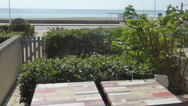 Un espace patio avec vue sur la plage, une porte et quelques plantes.