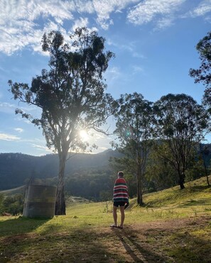 المنطقة المحيطة بالمنشأة