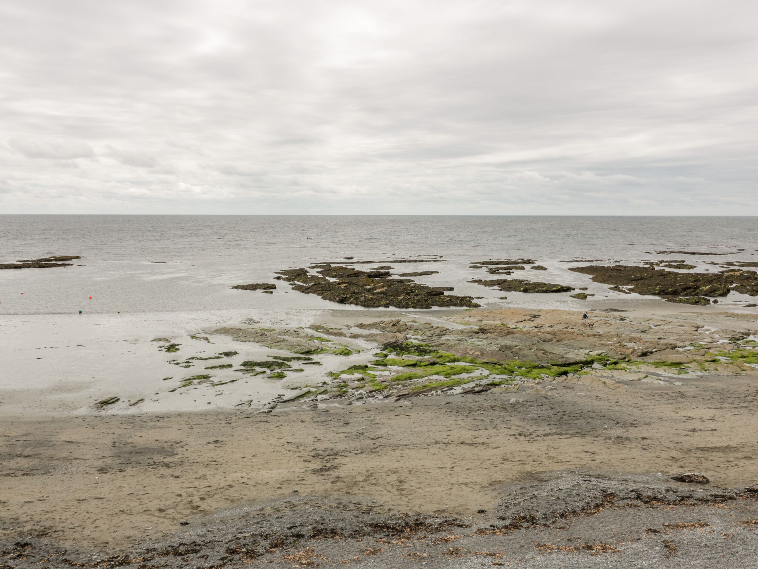A beach with rocky formations and seaweed.