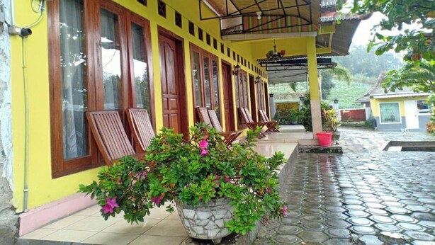 A yellow building with a covered porch, stone flooring, and potted plants. - OYO Life 3020 Penginapan Citra Rasa (Plaosan)