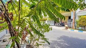 A street view with a row of parked motorcycles, a building with a yellow sign, and a tree with green leaves.