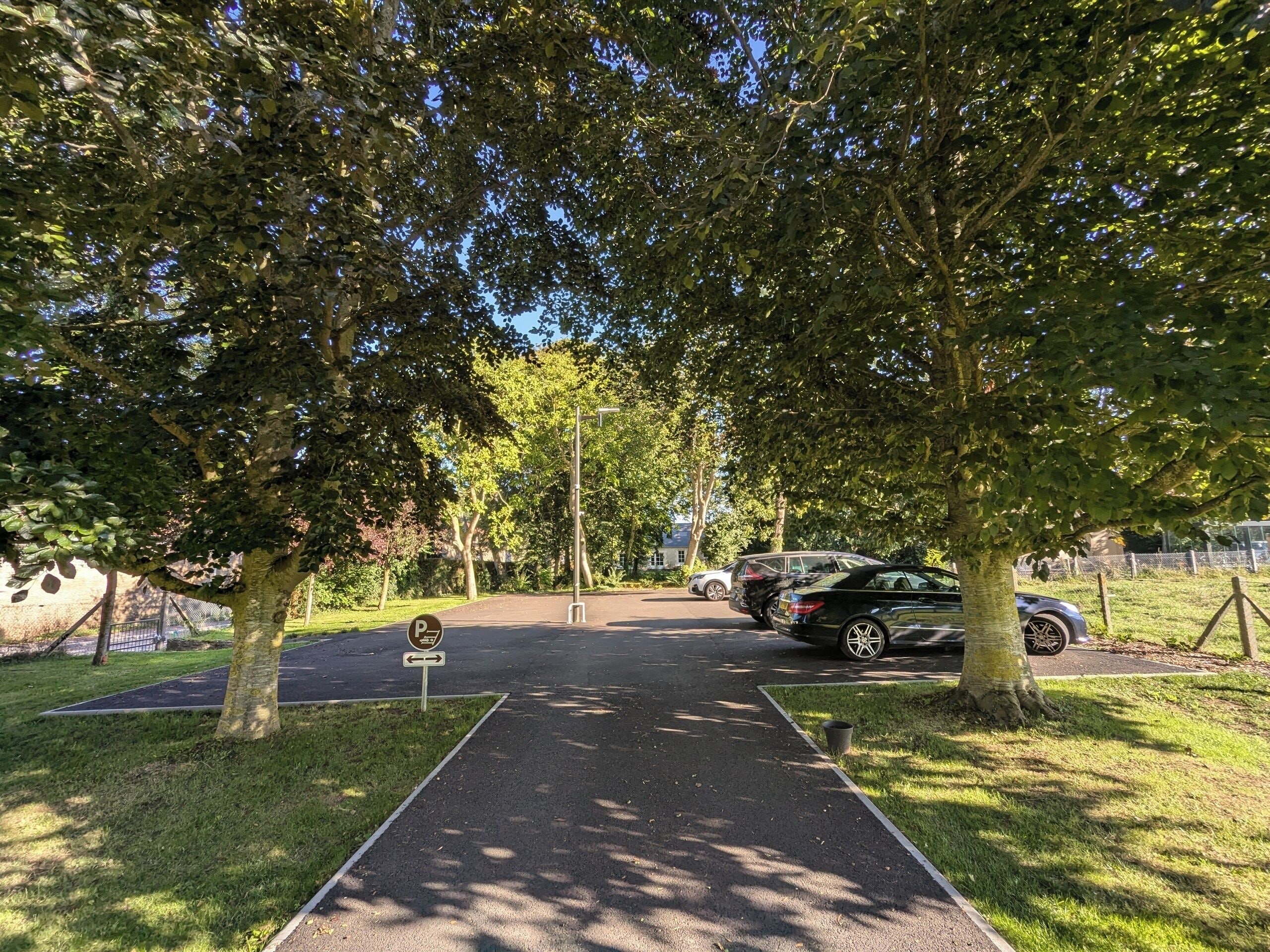 A paved pathway lined with trees, leading to a parking area with cars.