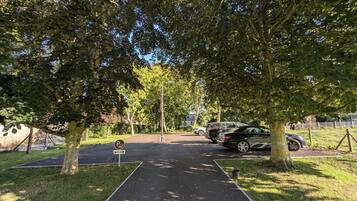 A paved pathway lined with trees, leading to a parking area with cars.
