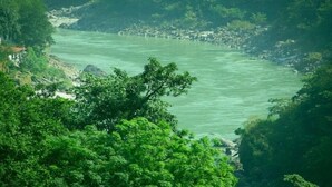 A river surrounded by dense greenery and rocky terrain. - The Neer Budha (Narendranagar)