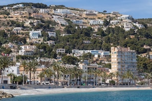 A coastal town with buildings on a hillside, a beach, and palm trees.