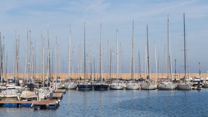 Een jachthaven met veel zeilboten afgemeerd aan de waterkant.
