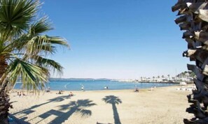 A beach with palm trees, a clear sky, and a calm sea.