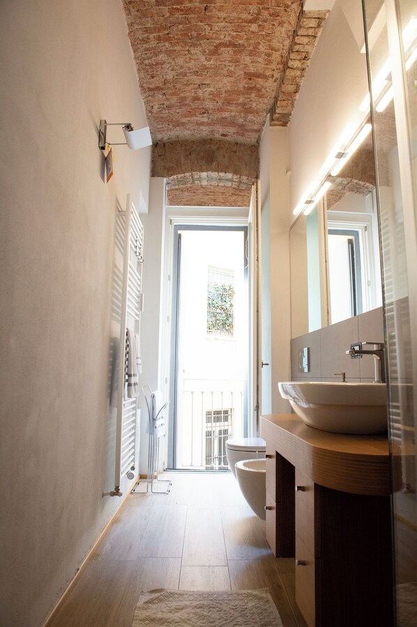 Regadera, secadora de cabello, bidet, toallas