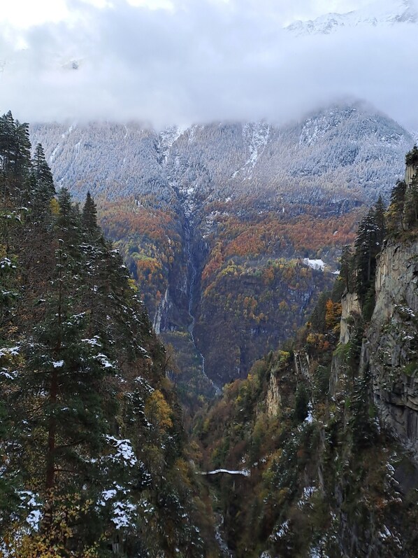 Un paysage montagneux comprenant une vallée, une forêt dense et des arbres couverts de neige.