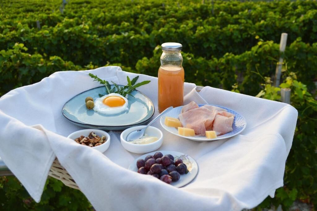 A picnic setup with plates of food, a bottle of juice, and a basket of grapes on a table in a vineyard.