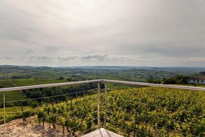 Property grounds - Casa SOLE, swimming pool and wellness (Castiglione Tinella)