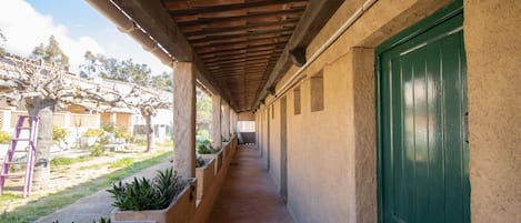 A covered corridor with a green door, potted plants, and a view of the outside.