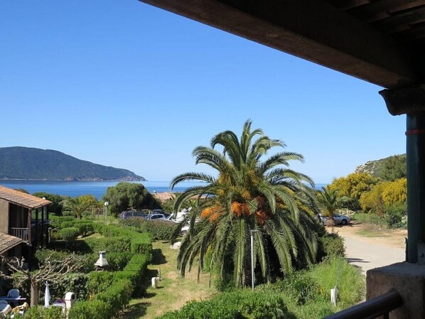 A coastal view with a palm tree, parked cars, and a building with a balcony.
