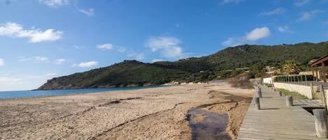 بالقرب من الشاطئ