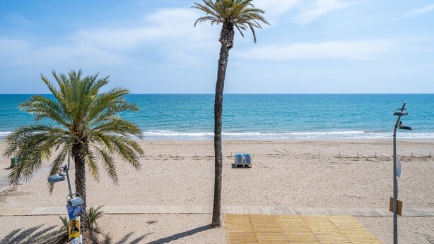 A beach with a palm tree, a wooden boardwalk, and a beach chair. - Apartment 'Calafellmar Loft' with Sea View, Wi-Fi and Air Conditioning (Calafell)